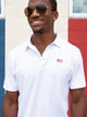 Performance Polo (Classic) - Image 2 - Chubbies Shorts